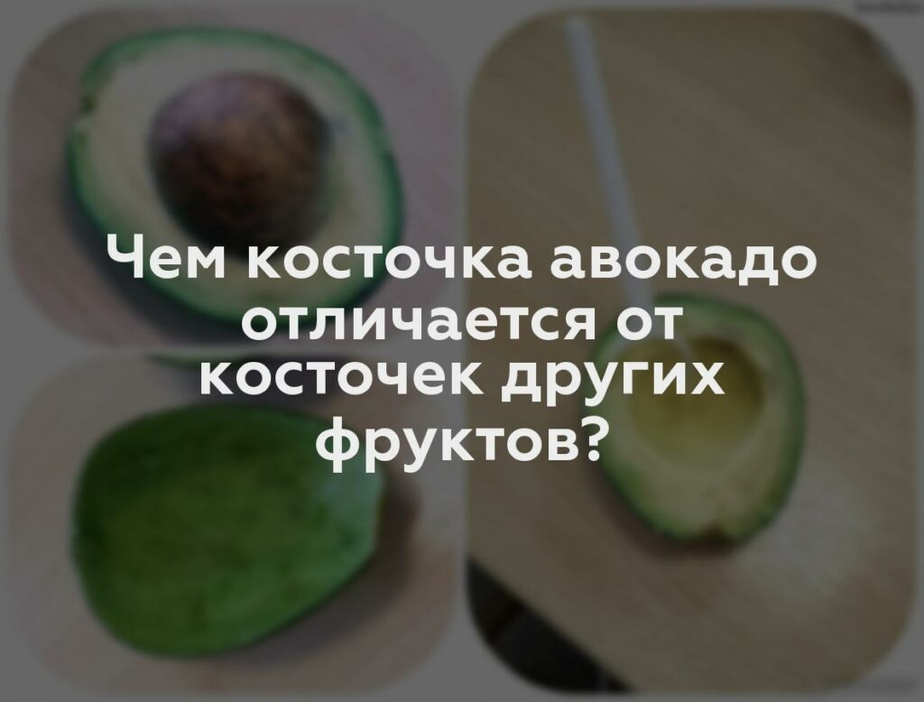 Чем косточка авокадо отличается от косточек других фруктов?