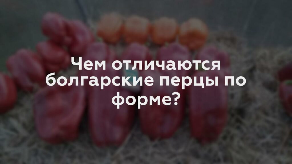 Чем отличаются болгарские перцы по форме?