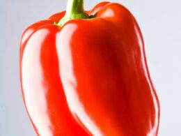 Чем полезен красный болгарский перец для женщин?