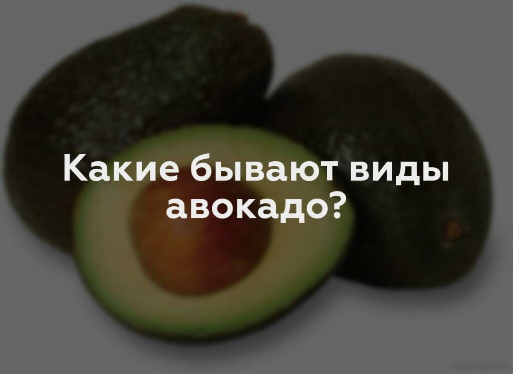 Какие бывают виды авокадо?