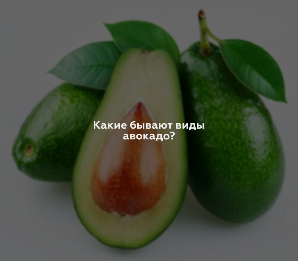 Какие бывают виды авокадо?