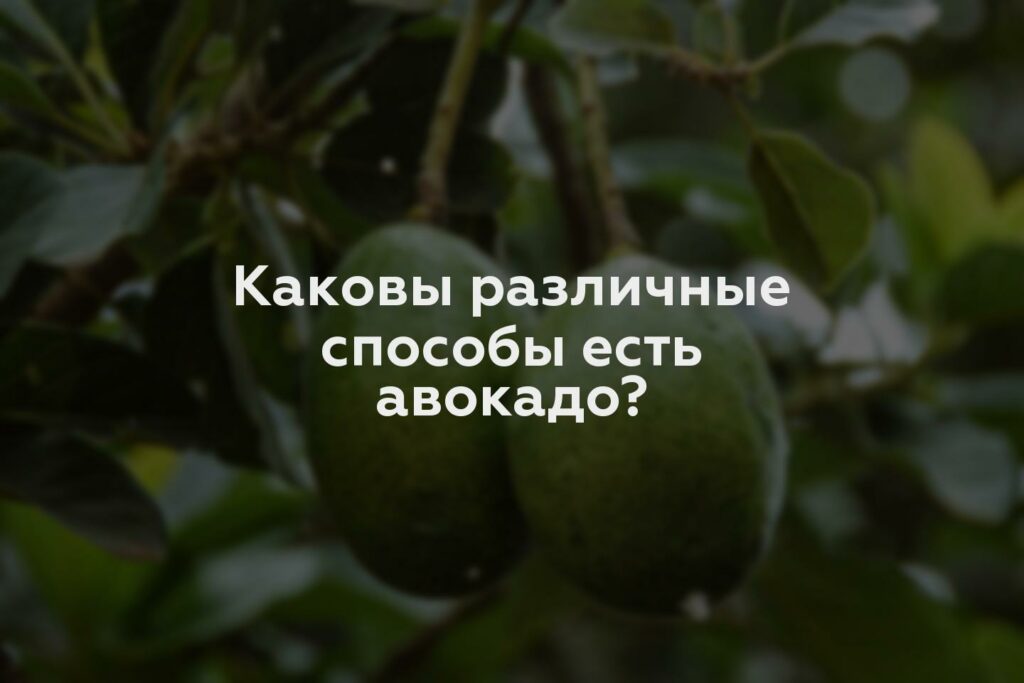 Каковы различные способы есть авокадо?