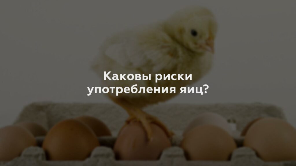 Каковы риски употребления яиц?