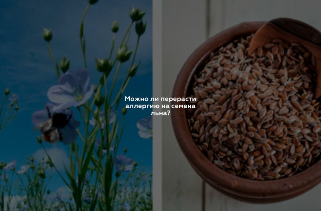 Можно ли перерасти аллергию на семена льна?