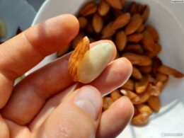 Нужно ли жарить миндальный орех?