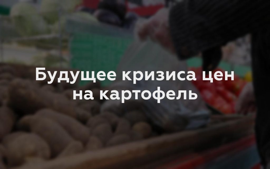 Будущее кризиса цен на картофель