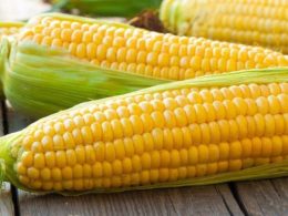 Чем полезна кукуруза для женщин?