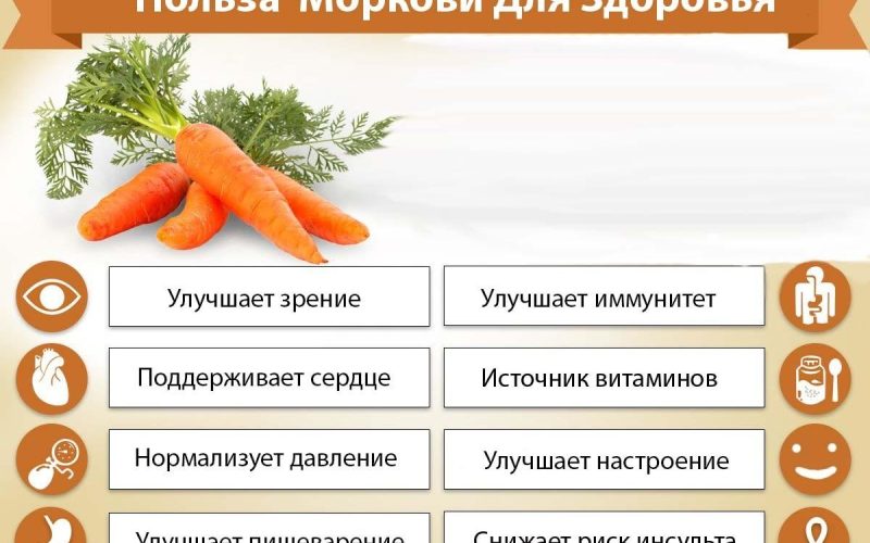 Чем полезна морковь для зрения?