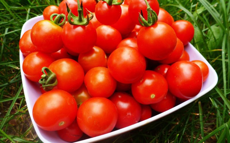 Чем полезны помидоры для здоровья?