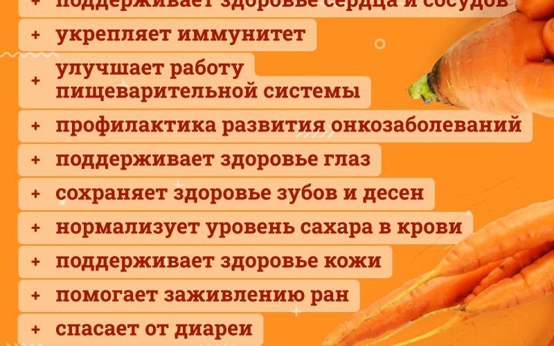 Что будет от переедания морковки?