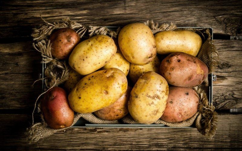 Что полезнее вареный или печеный картофель?