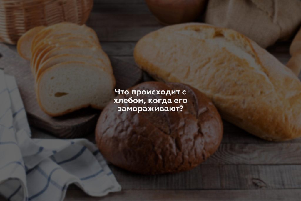 Что происходит с хлебом, когда его замораживают?