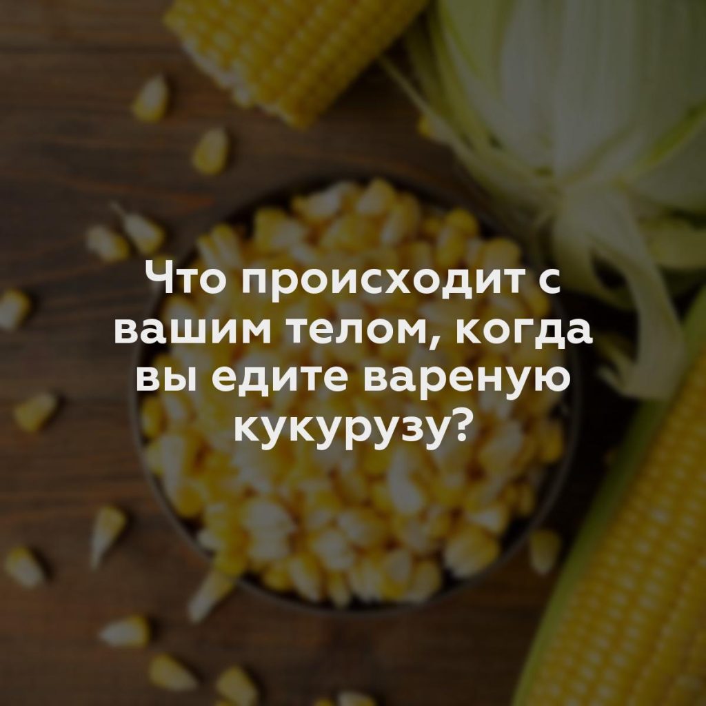 Что происходит с вашим телом, когда вы едите вареную кукурузу?