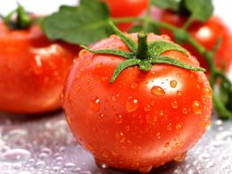 Что такое помидор ягода или овощ?