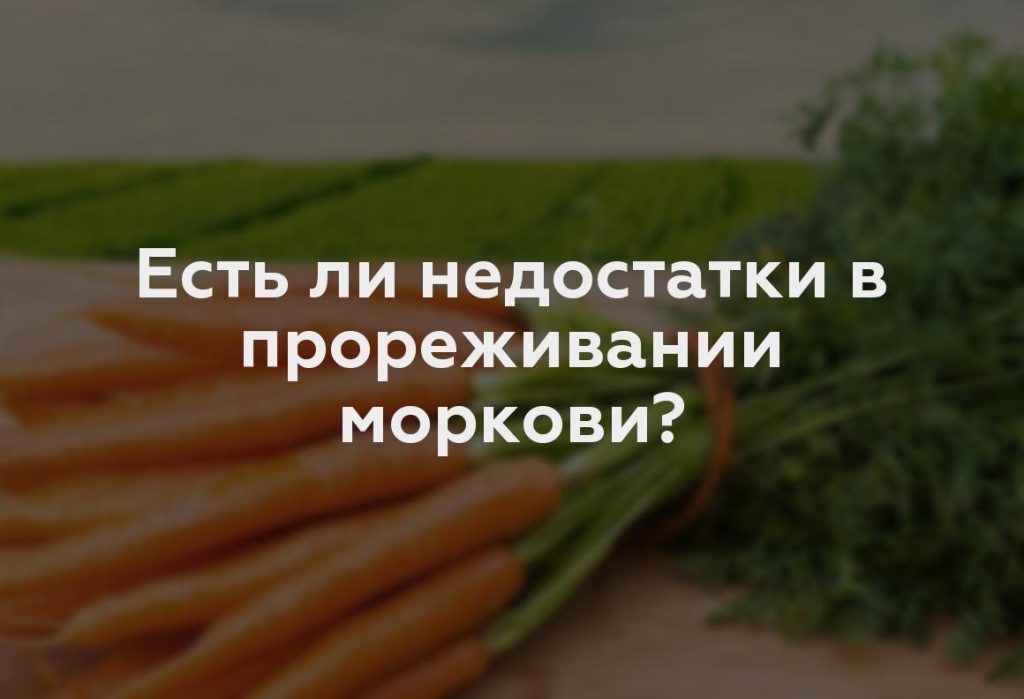 Есть ли недостатки в прореживании моркови?