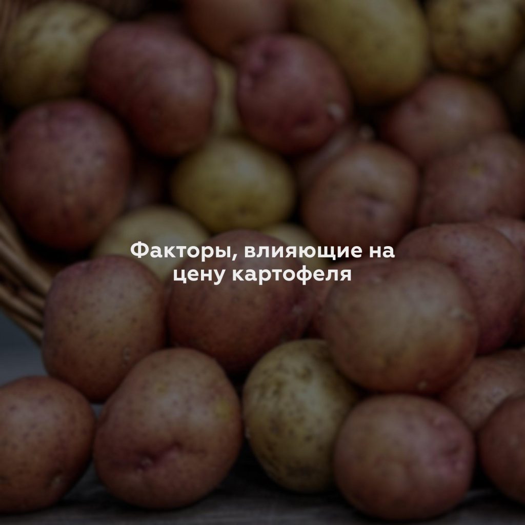 Факторы, влияющие на цену картофеля