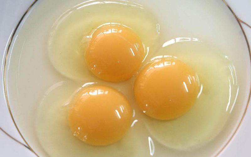 Где больше белка в яйце в белке или желтке?