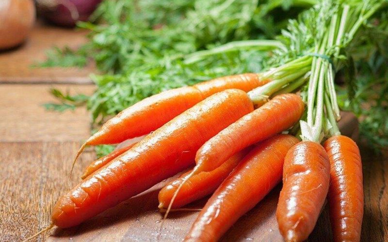 Где переваривается морковь?