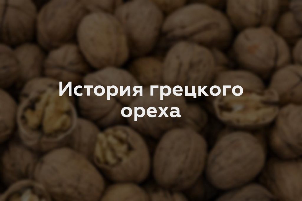 История грецкого ореха