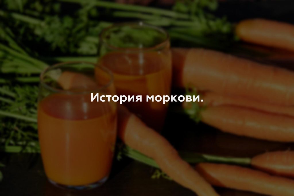 История моркови.