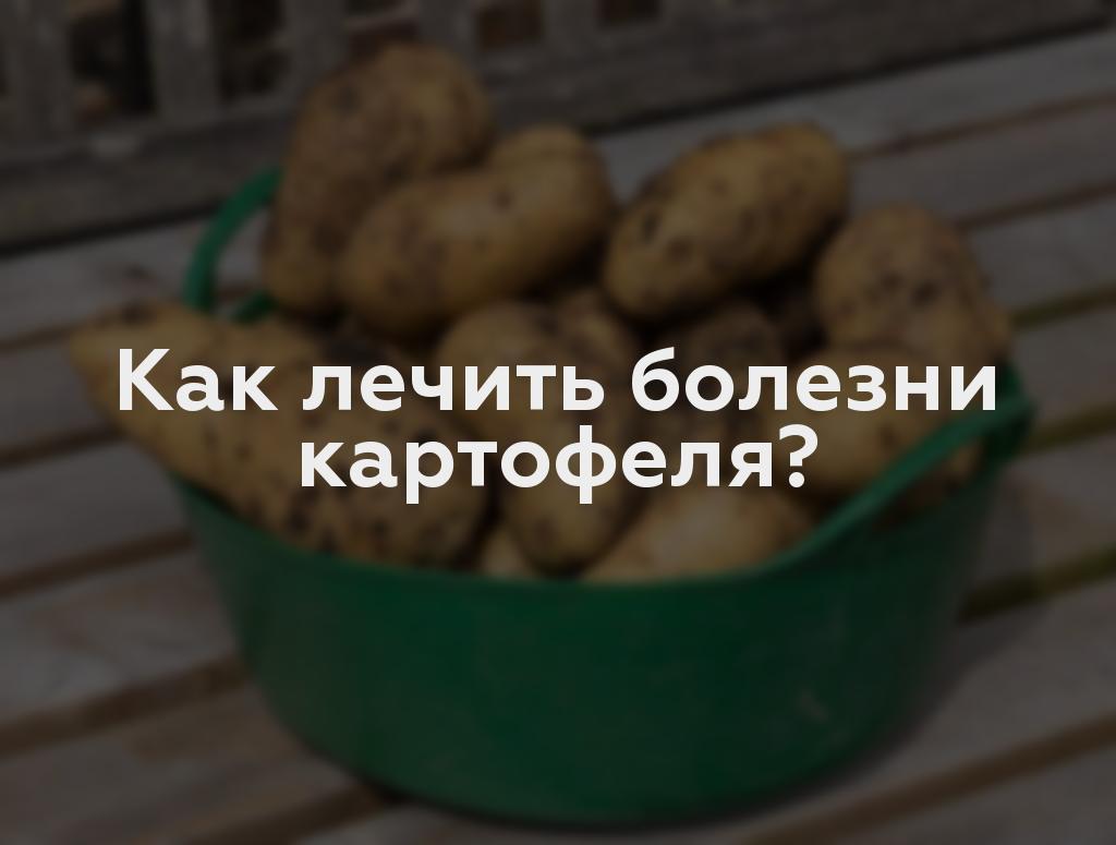 Как лечить болезни картофеля?