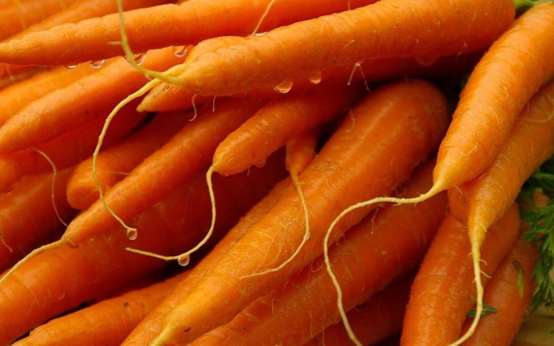 Как морковь влияет на мозг?