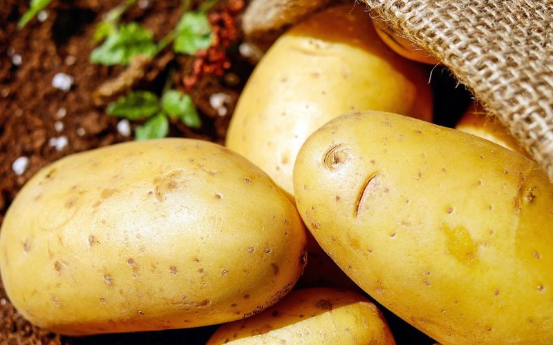 Как влияет картошка на мозг?