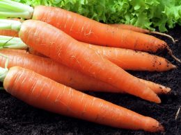 Как влияет морковь на кровь?