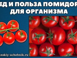 Как влияет помидоры на организм?