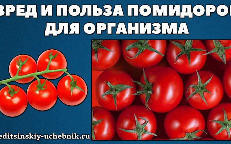 Как влияет помидоры на организм?