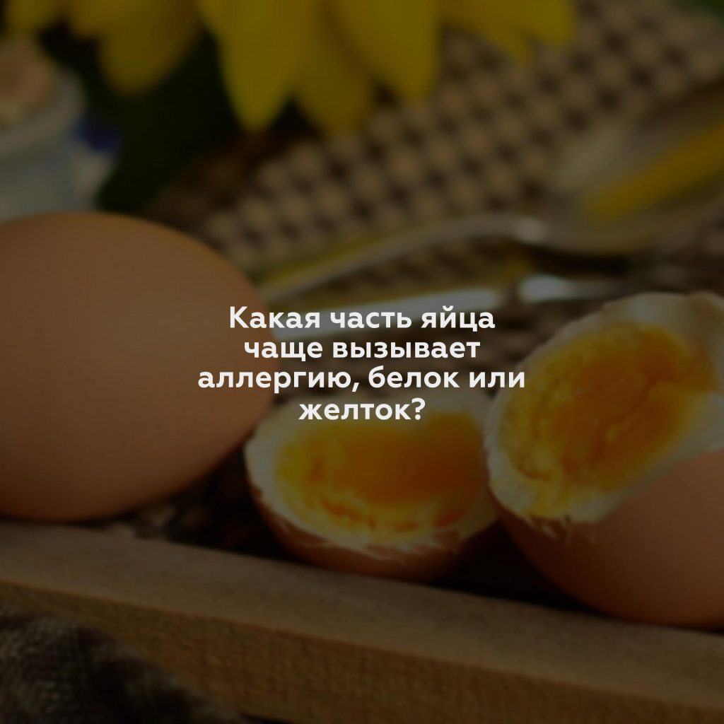 Какая часть яйца чаще вызывает аллергию, белок или желток?