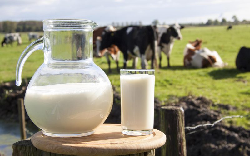 Какое молоко самое натуральное?