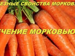 Какого витамина много в моркови?