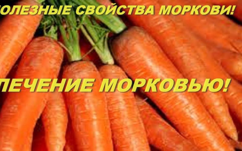 Какого витамина много в моркови?