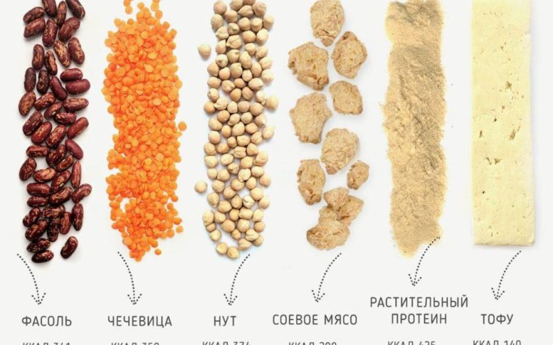 Какой белок полезнее всего?