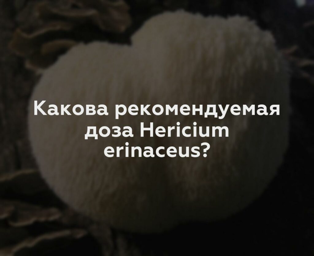 Какова рекомендуемая доза Hericium erinaceus?
