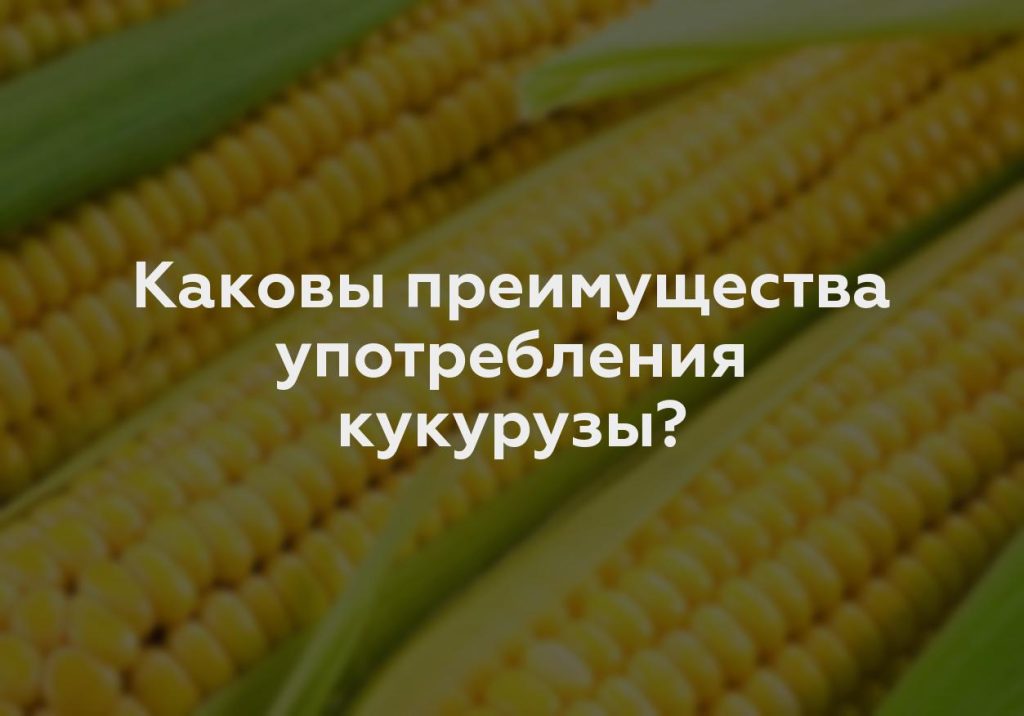 Каковы преимущества употребления кукурузы?
