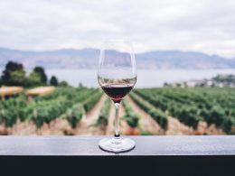 Когда лучше пить вино утром или вечером?
