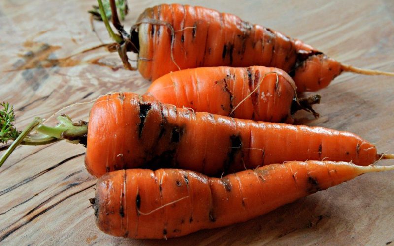 Когда прореживать морковь утром или вечером?