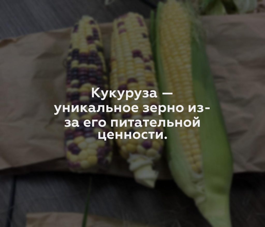 Кукуруза — уникальное зерно из-за его питательной ценности.