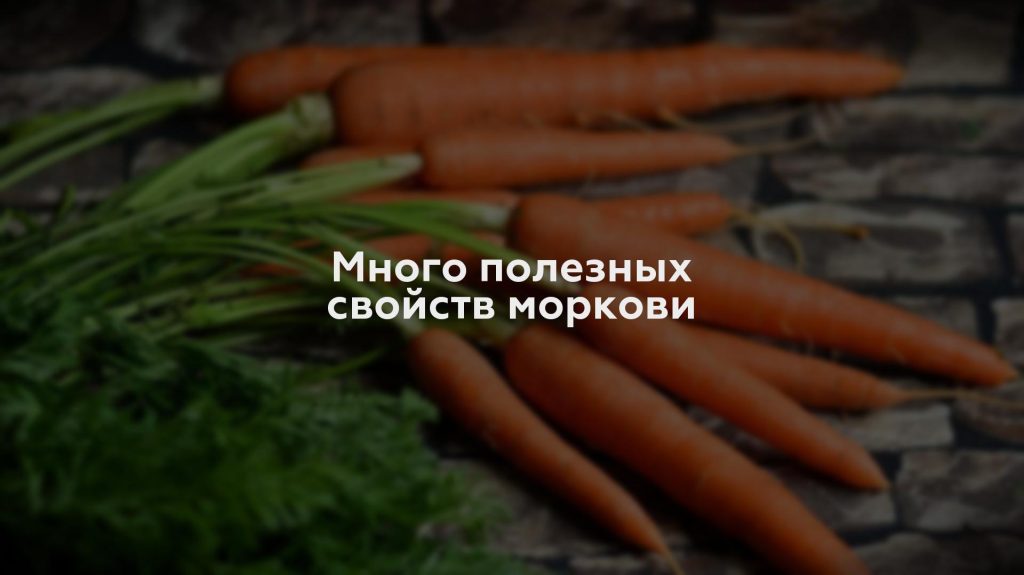 Много полезных свойств моркови