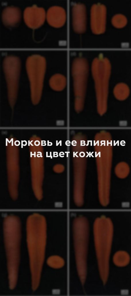 Морковь и ее влияние на цвет кожи