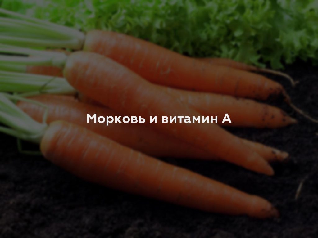 Морковь и витамин А