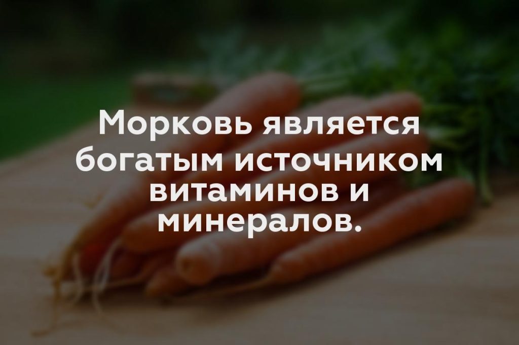 Морковь является богатым источником витаминов и минералов.