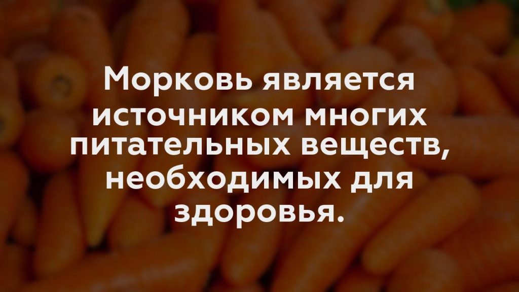 Морковь является источником многих питательных веществ, необходимых для здоровья.