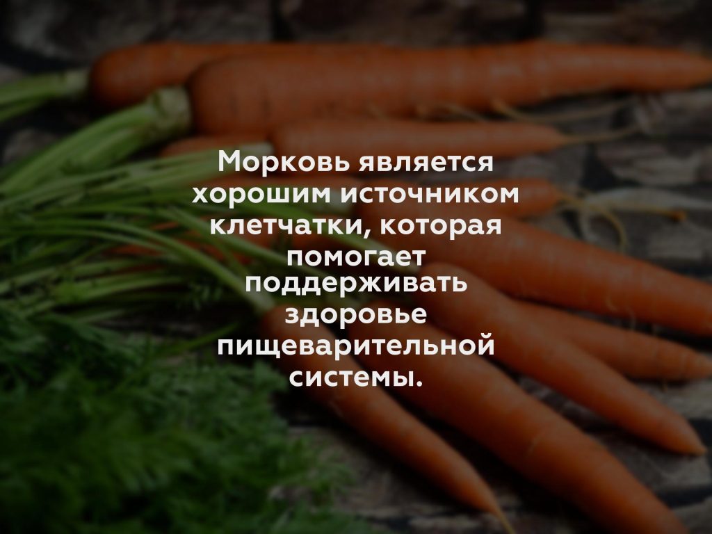 Морковь является хорошим источником клетчатки, которая помогает поддерживать здоровье пищеварительной системы.