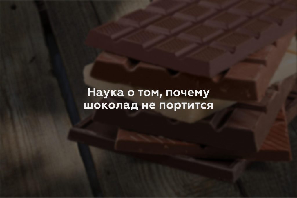 Наука о том, почему шоколад не портится