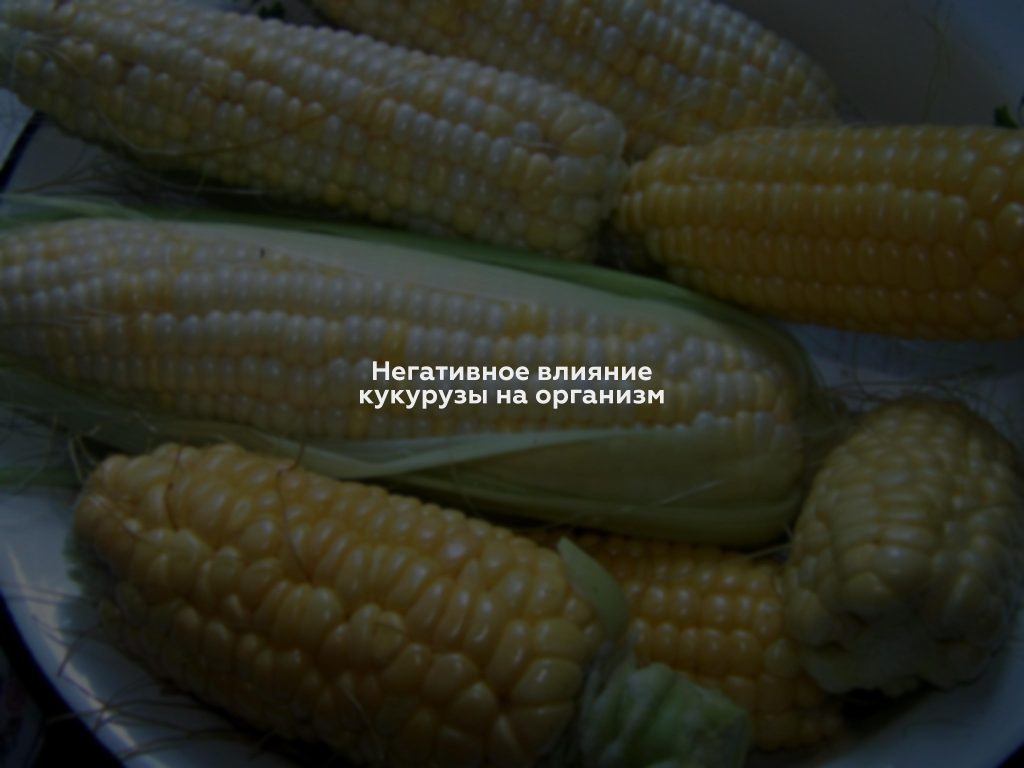 Негативное влияние кукурузы на организм
