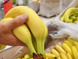 Почему банан не фрукт?