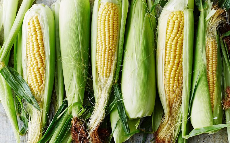 Почему болит живот от кукурузы?